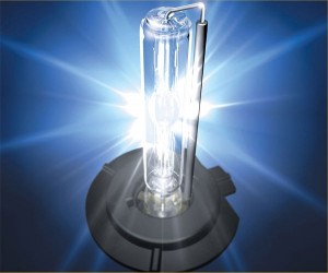 Xenon Bulb